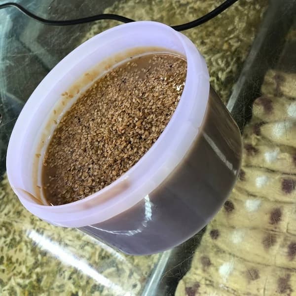 تصویر 2 از خرید ارده کنجد خالص + قیمت فروش استثنایی